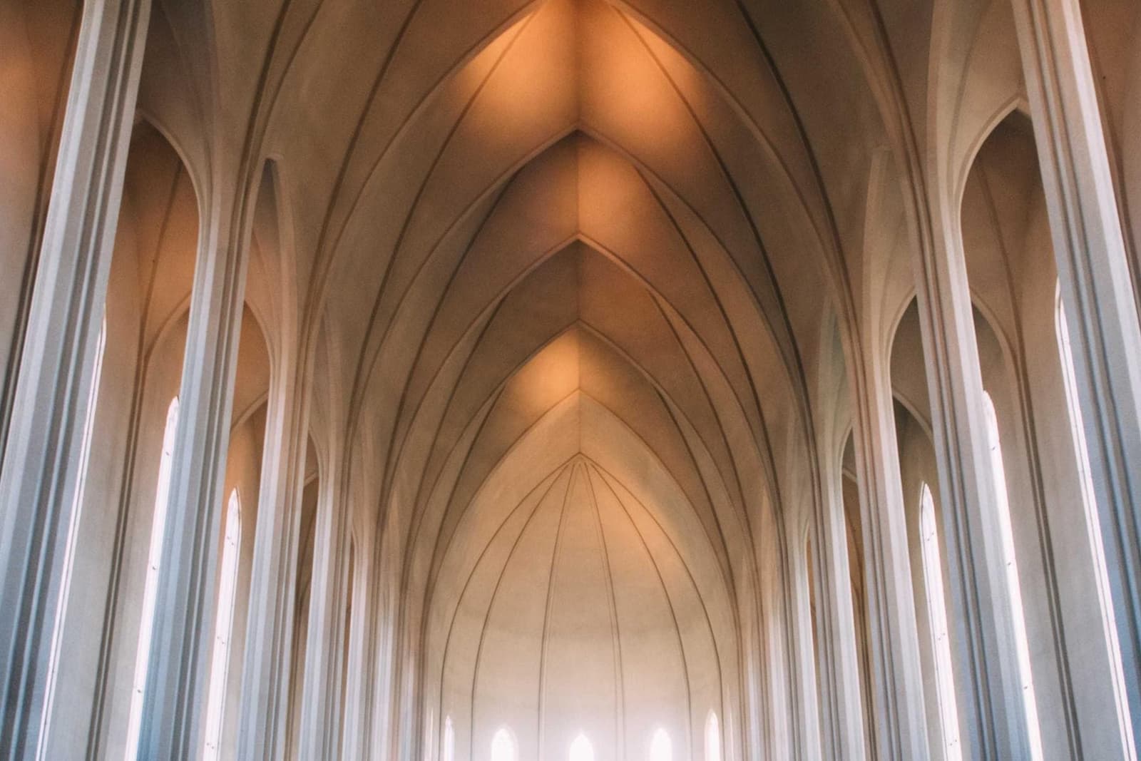 White vaulted arches of a ceiling.